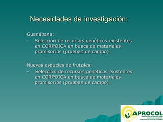 Fruticultura / horticultura en el Valle del Cauca 