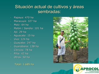 Fruticultura / horticultura en el Valle del Cauca 