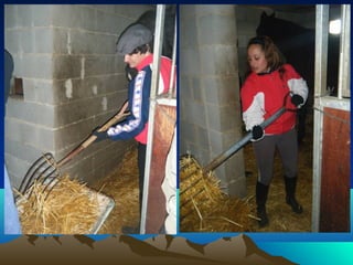 Presentación ciclo afd 201 2010 11