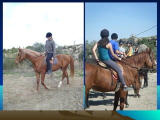 Presentación ciclo afd 201 2010 11