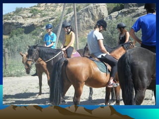 Presentación ciclo afd 201 2010 11