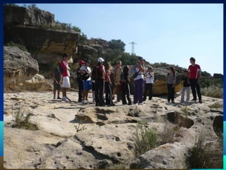 Presentación ciclo afd 201 2010 11