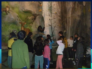 Presentación ciclo afd 201 2010 11