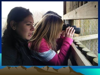 Presentación ciclo afd 201 2010 11