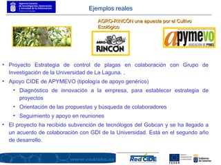 AGRO-RINCÓN una apuesta por el Cultivo Ecológico Proyecto Estrategia de control de plagas en colaboración con Grupo de Investigación de la Universidad de La Laguna. .  Apoyo CIDE de APYMEVO (tipología de apoyo genérico) Diagnóstico de innovación a la empresa, para establecer estrategia de proyectos Orientación de las propuestas y búsqueda de colaboradores Seguimiento y apoyo en reuniones El proyecto ha recibido subvención de tecnólogos del Gobcan y se ha llegado a un acuerdo de colaboración con GDI de la Universidad. Está en el segundo año de desarrollo. Ejemplos reales 