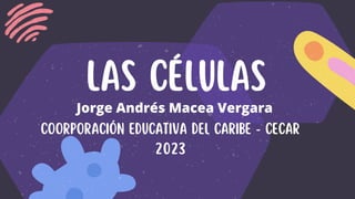 Las células
COORPORACIÓN EDUCATIVA DEL CARIBE - CECAR
2023
Jorge Andrés Macea Vergara
 