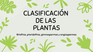 CLASIFICACIÓN
DE LAS
PLANTAS
Briofitas, pteridofitas, gimnospermas y angiospermas
 