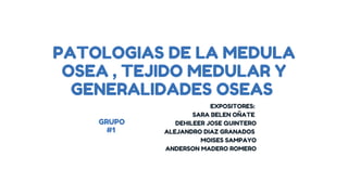 PATOLOGIAS DE LA MEDULA
OSEA , TEJIDO MEDULAR Y
GENERALIDADES OSEAS
EXPOSITORES:
SARA BELEN OÑATE
DEHILEER JOSE QUINTERO
ALEJANDRO DIAZ GRANADOS
MOISES SAMPAYO
ANDERSON MADERO ROMERO
GRUPO
#1
 