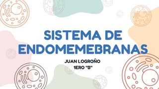 SISTEMA DE
ENDOMEMEBRANAS
JUAN LOGROÑO
1ERO "B"
 