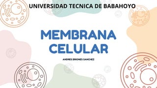 MEMBRANA
CELULAR
ANDRES BRIONES SANCHEZ
UNIVERSIDAD TECNICA DE BABAHOYO
 