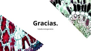 Gracias.
hola@unsitiogenial.es
 