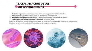 2. CLASIFICACIÓN DE LOS
MICROORGANISMOS
• Bacterias: organismos procariotas, unicelulares, con una gran diversidad metabólica.
• Virus: agentes acelulares, que requieren de células vivas para replicarse.
• Hongos microscópicos: incluyen mohos y levaduras, eucariotas, con paredes de quitina.
• Parásitos microscópicos: protozoos y helmintos en estadio larval.
Jawetz et al. clasifican los microorganismos según su estructura, ciclo de vida y mecanismos patogénicos.
Destacan su rol en enfermedades infecciosas emergentes y reemergentes.
 