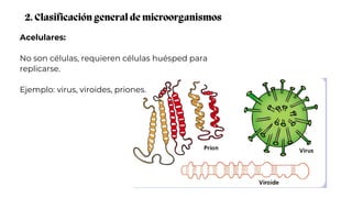 Acelulares:
No son células, requieren células huésped para
replicarse.
Ejemplo: virus, viroides, priones.
2. Clasificación general de microorganismos
 