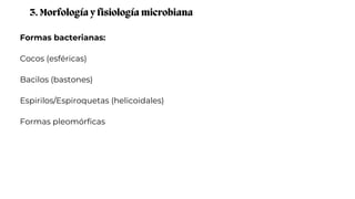Formas bacterianas:
Cocos (esféricas)
Bacilos (bastones)
Espirilos/Espiroquetas (helicoidales)
Formas pleomórficas
3. Morfología y fisiología microbiana
 
