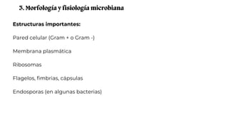 Estructuras importantes:
Pared celular (Gram + o Gram -)
Membrana plasmática
Ribosomas
Flagelos, fimbrias, cápsulas
Endosporas (en algunas bacterias)
3. Morfología y fisiología microbiana
 