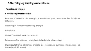 Funciones vitales
3. Morfología y fisiología microbiana
1. Nutrición y metabolismo
Función: Obtención de energía y nutrientes para mantener las funciones
celulares.
Tipos según fuente de carbono y energía:
Autótrofos:
Usan CO₂ como fuente de carbono.
Fotoautótrofos: obtienen energía de la luz (ej. cianobacterias).
Quimioautótrofos: obtienen energía de reacciones químicas inorgánicas (ej.
bacterias nitrificantes).
 