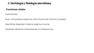 Funciones vitales
3. Morfología y fisiología microbiana
Heterótrofos:
Usan compuestos orgánicos como fuente de carbono y energía.
Saprofitos: degradan materia orgánica muerta.
Parásitos: obtienen nutrientes de un huésped vivo.
 