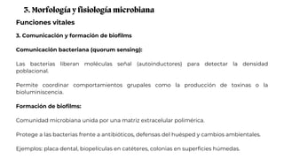Funciones vitales
3. Morfología y fisiología microbiana
3. Comunicación y formación de biofilms
Comunicación bacteriana (quorum sensing):
Las bacterias liberan moléculas señal (autoinductores) para detectar la densidad
poblacional.
Permite coordinar comportamientos grupales como la producción de toxinas o la
bioluminiscencia.
Formación de biofilms:
Comunidad microbiana unida por una matriz extracelular polimérica.
Protege a las bacterias frente a antibióticos, defensas del huésped y cambios ambientales.
Ejemplos: placa dental, biopelículas en catéteres, colonias en superficies húmedas.
 