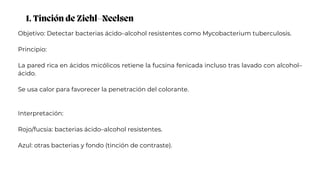 1. Tinción de Ziehl–Neelsen
Objetivo: Detectar bacterias ácido–alcohol resistentes como Mycobacterium tuberculosis.
Principio:
La pared rica en ácidos micólicos retiene la fucsina fenicada incluso tras lavado con alcohol–
ácido.
Se usa calor para favorecer la penetración del colorante.
Interpretación:
Rojo/fucsia: bacterias ácido–alcohol resistentes.
Azul: otras bacterias y fondo (tinción de contraste).
 