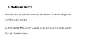3. Medios de cultivo
Enriquecidos: Aportan nutrientes extra para bacterias exigentes.
Ejemplo: Agar sangre.
De transporte: Mantienen viables las bacterias sin multiplicación.
Ejemplo: Medio Stuart.
 