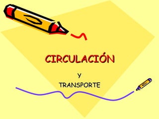 CIRCULACIÓN Y TRANSPORTE 
