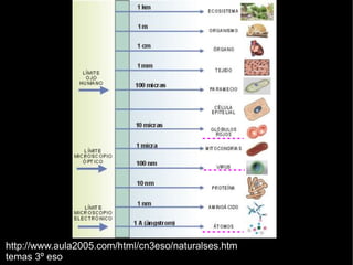 http://www.aula2005.com/html/cn3eso/naturalses.htm
temas 3º eso
 