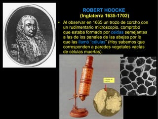 ROBERT HOOCKE
            (Inglaterra 1635-1702)
●   Al observar en 1665 un trozo de corcho con
    un rudimentario microscopio, comprobó
    que estaba formado por celdas semejantes
    a las de los panales de las abejas por lo
    que las llamó “células” (Hoy sabemos que
    corresponden a paredes vegetales vacías
    de células muertas).
 