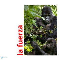 Presentación city campba 2012   luis babino