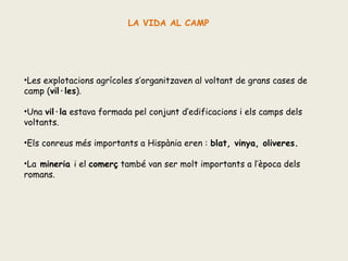 LA VIDA AL CAMP

•Les explotacions agrícoles s’organitzaven al voltant de grans cases de
camp (vil·les).
•Una vil·la estava formada pel conjunt d’edificacions i els camps dels
voltants.
•Els conreus més importants a Hispània eren : blat, vinya, oliveres.
•La mineria i el comerç també van ser molt importants a l’època dels
romans.

 