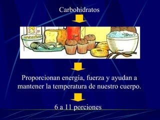 Carbohidratos Proporcionan energía, fuerza y ayudan a mantener la temperatura de nuestro cuerpo. 6 a 11 porciones