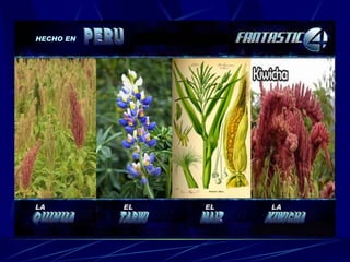 HECHO EN PERU LA QUINUA EL TARWI EL MAIZ LA KIWICHA