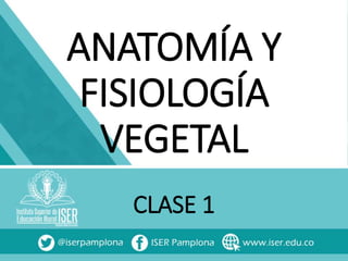ANATOMÍA Y
FISIOLOGÍA
VEGETAL
CLASE 1
 