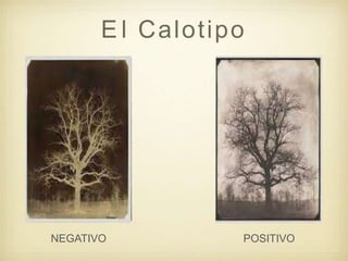 POSITIVO
E l Calotipo
NEGATIVO
 