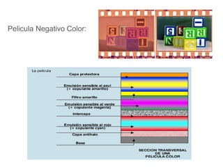 Pelicula Negativo Color:
 