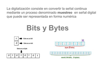 Bits y Bytes
La digitalización consiste en convertir la señal continua
mediante un proceso denominado muestreo en señal digital
que puede ser representada en forma numérica
 