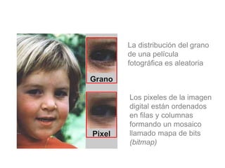La distribución del grano
de una película
fotográfica es aleatoria
Los pixeles de la imagen
digital están ordenados
en filas y columnas
formando un mosaico
llamado mapa de bits
(bitmap)
 