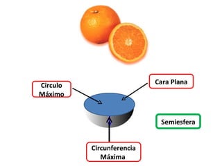 Circulo                    Cara Plana
Máximo


                            Semiesfera


          Circunferencia
             Máxima
 