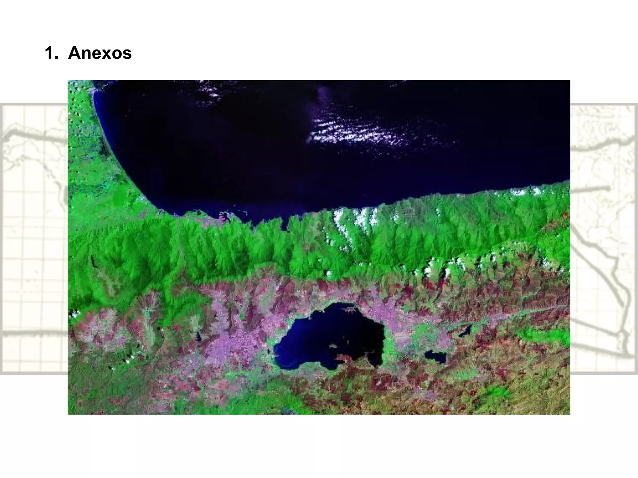 Anexos 