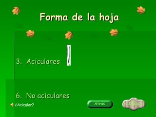 Forma de la hoja Aciculares No aciculares  Inicio Atrás ¿Acicular? 