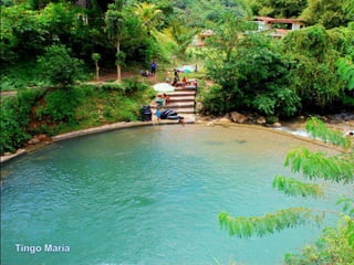 Tingo Mara