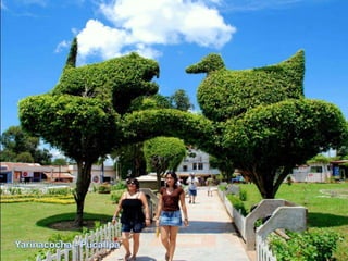 Yarinacocha - Pucallpa