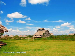 Yarinacocha - Pucallpa