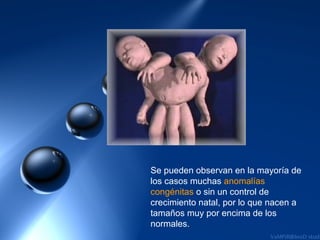 Se pueden observan en la mayoría de
los casos muchas anomalías
congénitas o sin un control de
crecimiento natal, por lo que nacen a
tamaños muy por encima de los
normales.
 