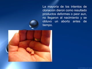 La mayoría de los intentos de
clonación dieron como resultado
productos deformes o peor aun,
no llegaron al nacimiento y se
obtuvo un aborto antes de
tiempo.
 
