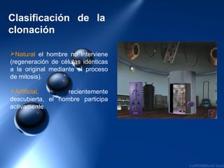 Clasificación de la
clonación

Natural el hombre no interviene
(regeneración de células idénticas
a la original mediante el proceso
de mitosis).

Artificial,       recientemente
descubierta, el hombre participa
activamente.
 