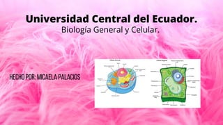 Universidad Central del Ecuador.
Biología General y Celular.
hecho por: Micaela Palacios
 