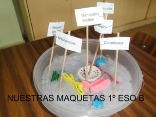 NUESTRAS MAQUETAS 1º ESO B
 