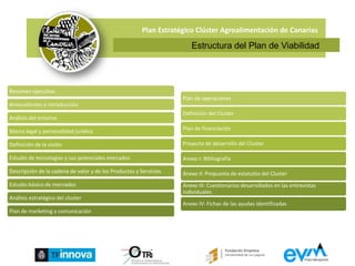 Plan Estratégico Clúster Agroalimentación de CanariasEstructura del Plan de Viabilidad