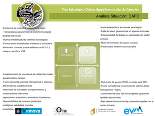Analizar las interrelaciones entre las empresas del cluster tanto horizontal como verticalmente, fundamentalmente el papel que juegan las PYMES.