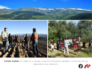 VISITAS GUIADAS: En Cámbrico y Soleae, nuestros visitantes aprenden y disfrutan de una
experiencia muy especial.
 